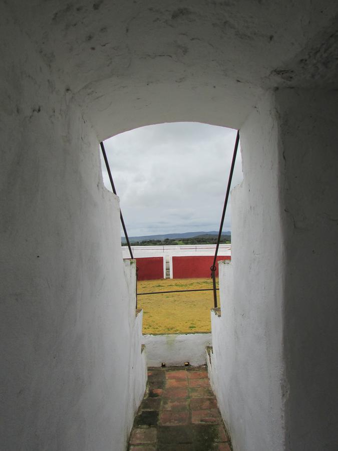 Hotel La Giralda Burguillos Del Cerro Exteriör bild